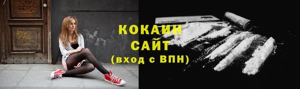 прущие грибы Покровск