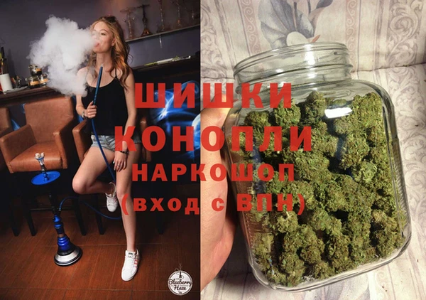 прущие грибы Покровск