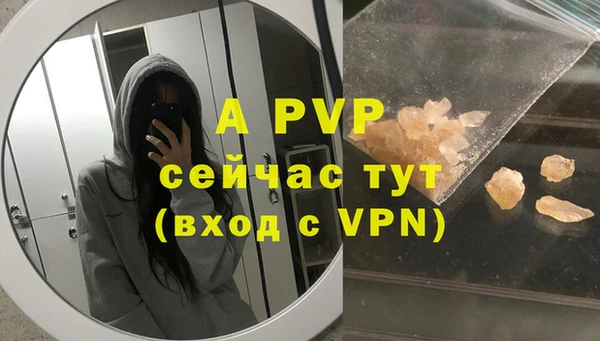 стафф Дубовка